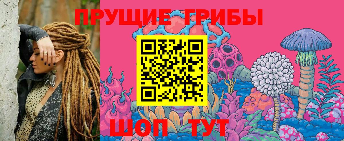 Галлюциногенные грибы GOLDEN TEACHER Благовещенск